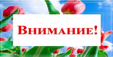 Внимание! Бесплатная доставка от 30 000 руб.