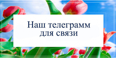 Наш телеграмм для связи