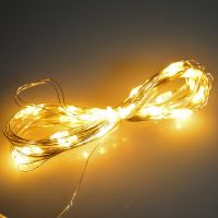 Гирлянда светодиодная 3 м, теплый свет, 220 В, М42-2 - вид 1 миниатюра