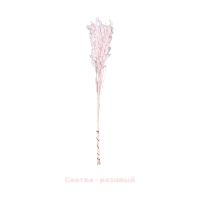 Сухоцвет Хасмантиум h65 см, FA38-12/44-11 - вид 7 миниатюра