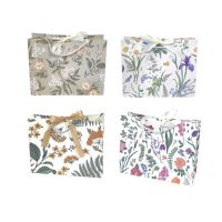 Сумка бумажная горизонтальная 20 х 25 х 10 см, Ботаника, 12 шт, FA55-9