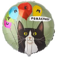 Шар фольгированный ДР Кот и воздушные шары 18"