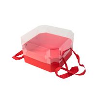 Коробка восьмиугольная с прозрачной крышкой 27 х 27 х 16 см, красный, Z25-3 - вид 1 миниатюра