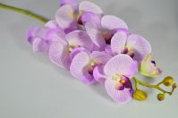 Орхидея ветка искусственная 102 см, сиреневый, W108-7 - вид 1 миниатюра