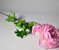Ранункулюс махровый искусственный h58 см, Р88-9 - вид 1 миниатюра