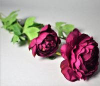 Ранункулюс махровый искусственный h58 см, Р88-9 - вид 1 миниатюра