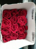 Роза FREEDOM 70 см, в упаковке 25 шт - вид 1 миниатюра