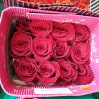 Роза МИКС 50 см в упаковке 25 шт - вид 1 миниатюра