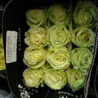 Роза МИКС Эквадор 80 см, в упаковке 25 шт - вид 2 миниатюра