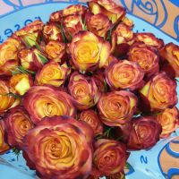 Роза кустовая Эквадор 70 см от 70 руб. за 1 шт в зависимости от сорта - вид 1 миниатюра