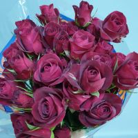 Роза кустовая Эквадор 70 см от 70 руб. за 1 шт в зависимости от сорта - вид 3 миниатюра