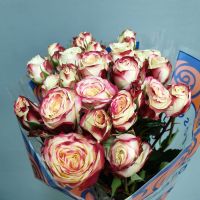 Роза кустовая Эквадор 70 см от 70 руб. за 1 шт в зависимости от сорта - вид 4 миниатюра