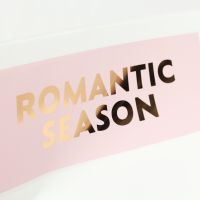 Пленка в листах Romantic season 30 х 45 см, 10 шт, белый/розовый, FA7-41 - вид 1 миниатюра