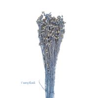 Сухоцвет Лен h65 см, FA44-14 - вид 8 миниатюра