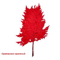 Стабилизированный Папоротник 10 шт, FA38-18 - вид 1 миниатюра