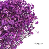 Стабилизированная Гипсофила h75 см, 90-100 гр, FA38-9 - вид 14 миниатюра