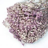 Стабилизированная Гипсофила h75 см, 110-120 гр, W67-31 - вид 1 миниатюра