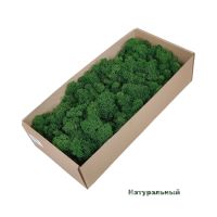 Мох стабилизированный в коробке, 500 гр - вид 6 миниатюра