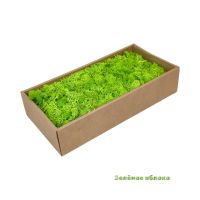 Мох стабилизированный в коробке, 500 гр - вид 9 миниатюра