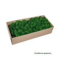 Мох стабилизированный в коробке, 500 гр (папоротник) - вид 2 миниатюра