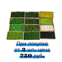 Мох стабилизированный в коробке, 500 гр (лайм)