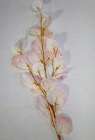 Эвкалипт Populus искусственный 108 см, розовый, W86-5 - вид 1 миниатюра