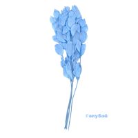 Стабилизированный Рускус h50 см, 5 шт, FA38-11 - вид 5 миниатюра