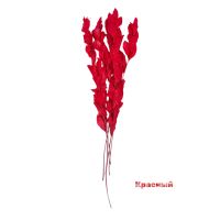 Стабилизированный Рускус h50 см, 5 шт, FA38-11 - вид 6 миниатюра