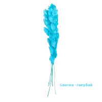 Стабилизированный Рускус h50 см, 5 шт, FA38-11 - вид 7 миниатюра