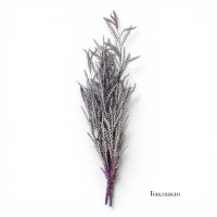 Стабилизирванная Гривеллия Иванхое h60 см, FA38-106 - вид 8 миниатюра