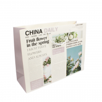Сумка бумажная горизонтальная 33 х 42 х 15 см, Flowers newspaper, 12 шт, Z23-40 - вид 2 миниатюра