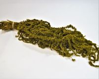 Амарантус стабилизированный 200 гр, темно-зеленый - вид 1 миниатюра