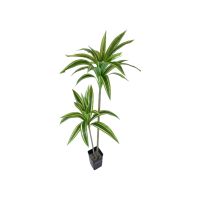 Драцена в горшке искусственная h140 см, FA15-12 - вид 2 миниатюра