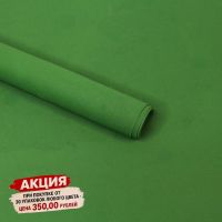 Фоамиран в листах 60 х 70 см, толщина 1 мм, 10 шт, еловый 031, FA7-49