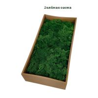 Мох стабилизированный в коробке, 500 гр, зеленая сосна, FA44-18 - вид 1 миниатюра