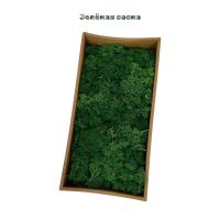 Мох стабилизированный в коробке, 500 гр, зеленая сосна, FA44-18 - вид 1 миниатюра