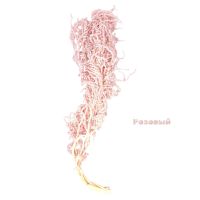 Стабилизированный Амарант h120-130 см, 5 шт, FA38-1 - вид 3 миниатюра