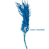 Стабилизированный Амарант h120-130 см, 5 шт, FA38-1 - вид 5 миниатюра