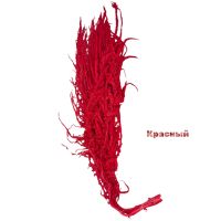 Стабилизированный Амарант h120-130 см, 5 шт, FA38-1 - вид 1 миниатюра