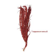 Стабилизированный Амарант h120-130 см, 5 шт, FA38-1 - вид 2 миниатюра