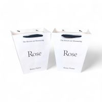 Сумка бумажная с широким дном ROSE h34 х 30 х 20 см, 2 шт, белый, FA3-34