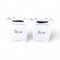 Сумка бумажная с широким дном ROSE h34 х 30 х 20 см, 2 шт, белый, FA3-34 - вид 2 миниатюра