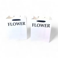Сумка бумажная с широким дном FLOWER h40 х 32 х 32 см, 2 шт, белый, FA3-39 - вид 1 миниатюра