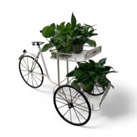 Подставка металлическая для цветов Велосипед h87 х 56 х 134 см, черный/белый, FA59-11