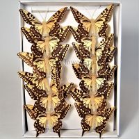 Бабочки на прищепках, 8 см, 12 шт, дерево - вид 1 миниатюра