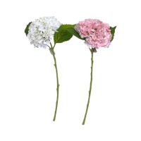 Гортензия искусственная h50 см, FA51-5 - вид 1 миниатюра