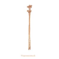 Стабилизированная Краспедия h50 см, 20 шт, FA44-8 - вид 10 миниатюра