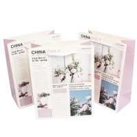 Сумка бумажная 33 х 25 х 12 см, Flowers newspaper, 12 шт, Z23-2 - вид 3 миниатюра