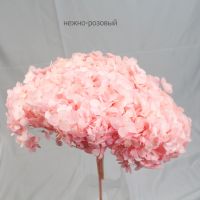 Стабилизированная Гортензия h60 см, W67-20СТ - вид 22 миниатюра