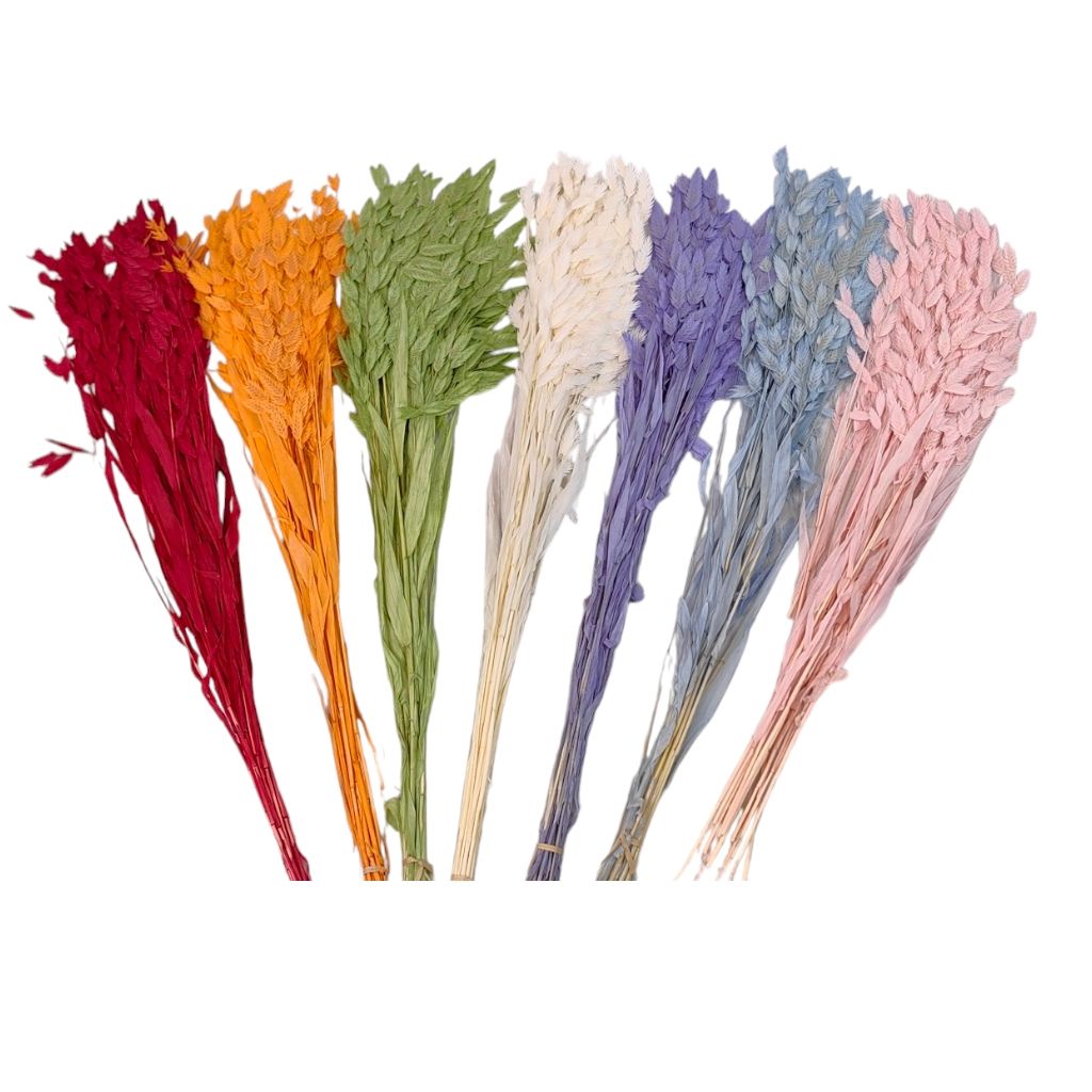 Сухоцвет Хасмантиум h65 см, FA38-12/44-11 Сухоцвет Хасмантиум h65 см, FA38-12/44-11